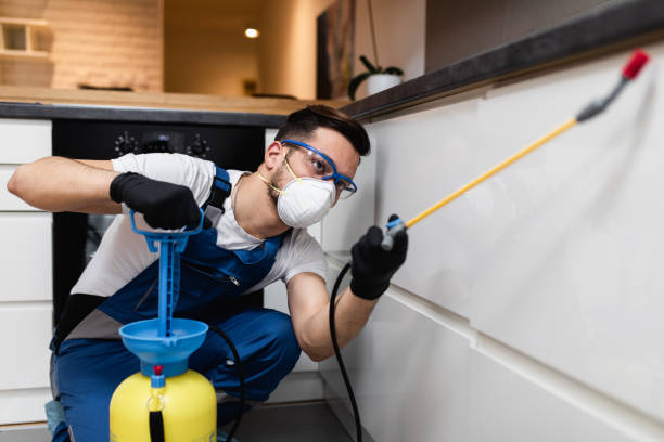 Best Wasp Removal Services  in Nashua, IA