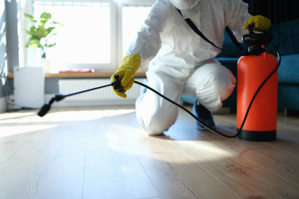 Best Affordable Pest Control Services  in Nashua, IA