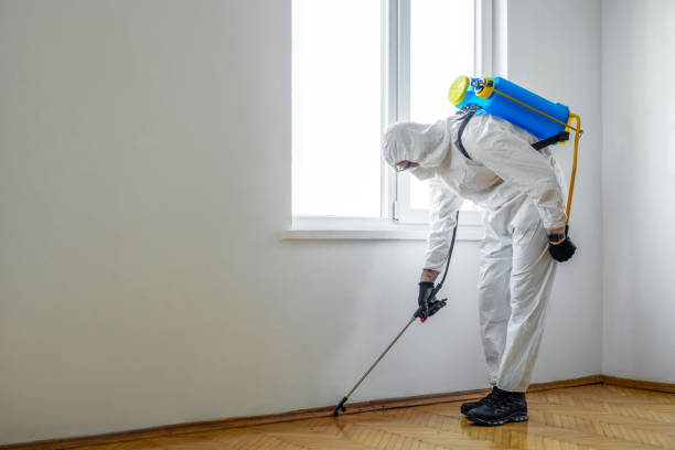 Best Local Pest Control Services  in Nashua, IA