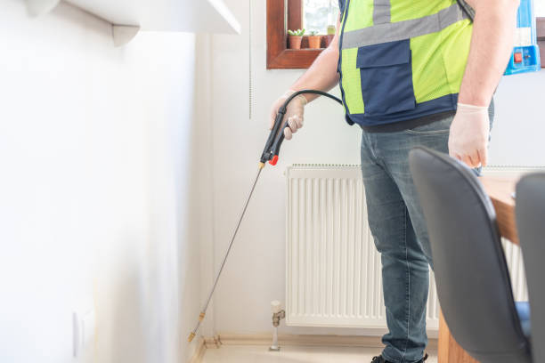 Reliable Nashua, IA Pest Control Solutions