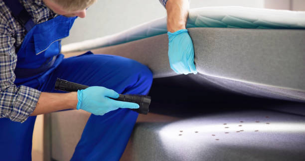 Best Pest Inspection Near Me  in Nashua, IA