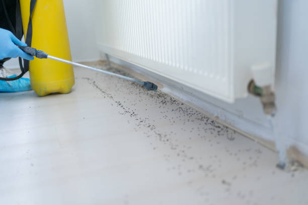 Best Cockroach Control Services  in Nashua, IA