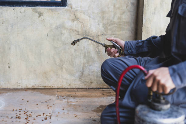 Best Best Pest Control Near Me  in Nashua, IA